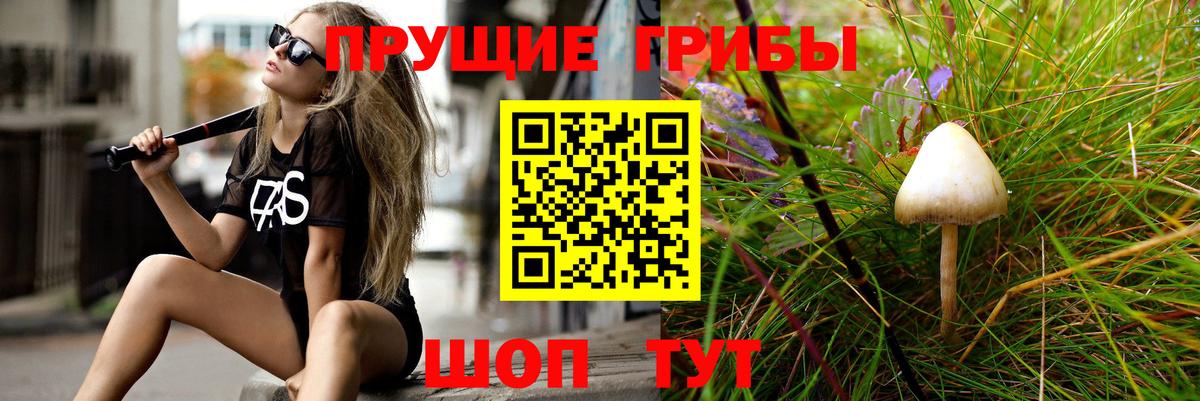 Галлюциногенные грибы мухоморы  Вход с VPN  Энгельс 