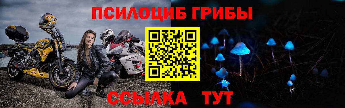 Галлюциногенные грибы Cubensis Энгельс