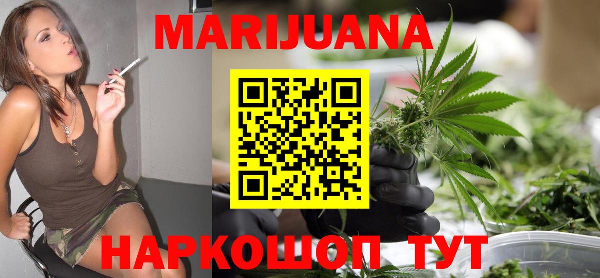 Каннабис OG Kush Энгельс